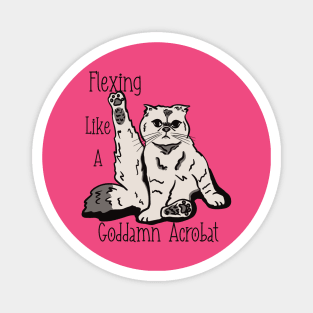 Karma Cat in Color Magnet